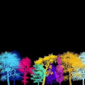 The Bloom EP (EP)