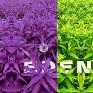 eden (EP)