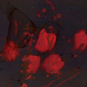 Dry Flower (Single)