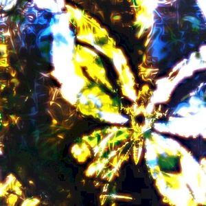 2 Many Words (Single)