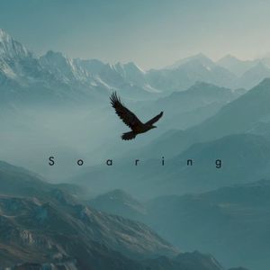 Soaring (Single)