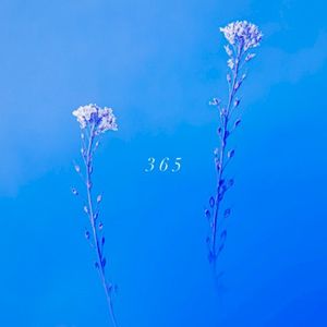 365 (Single)