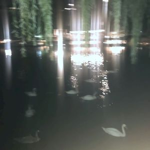 X (Single)