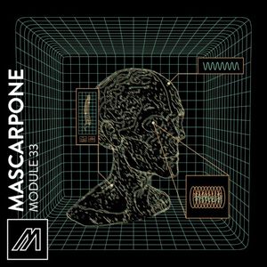 Module 33 (EP)