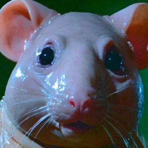 Come Track (Single)