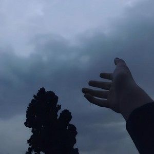 Idea 15 (Single)