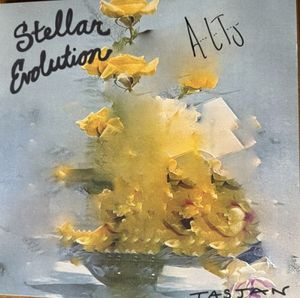Stellar evolution