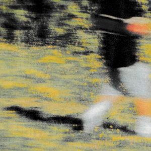 patience (EP)