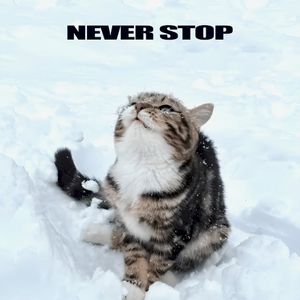 Never Stop (Single)