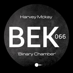 Binary Chamber (EP)