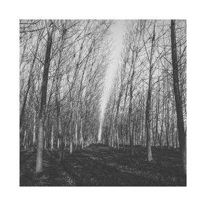 Various Artists (EP)