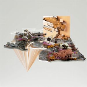 Home (Single)