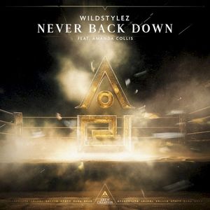 Never Back Down (Single)