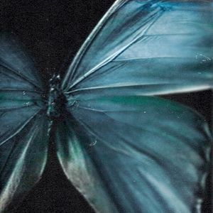 Beyond (Single)