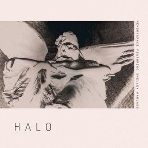 Halo (Single)