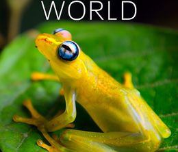 image-https://media.senscritique.com/media/000023396992/0/tiny_world.jpg