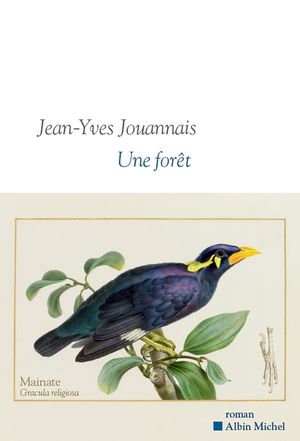 Une forêt