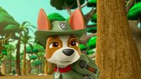Tracker, le ranger de la jungle