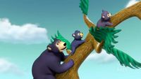 Danny et l'ours