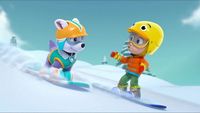 Skier comme un pro