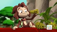 Le grand singe