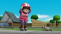 Les rollers de Danny