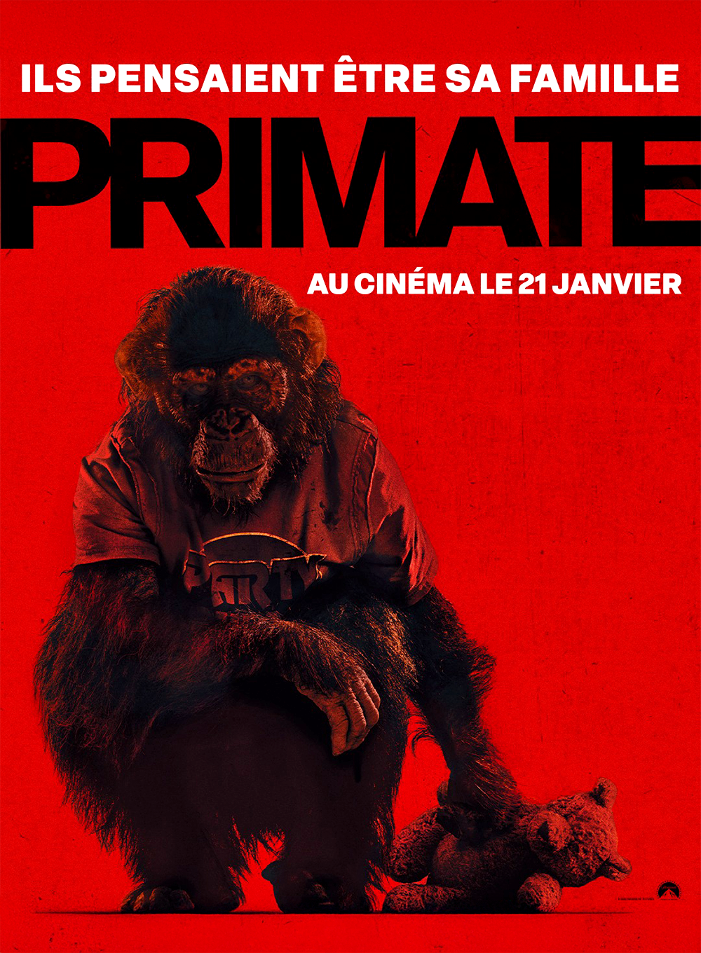 Primate