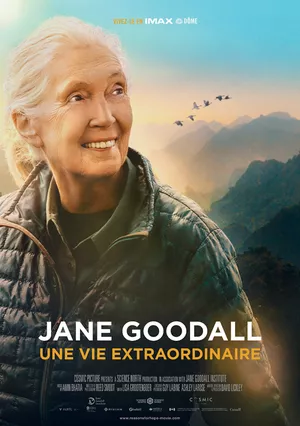 Jane goodall et ses chimpanzés