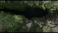 Dans les profondeurs de l'Amazonie