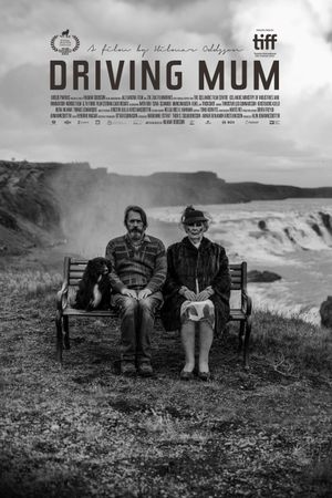 Driving Mum