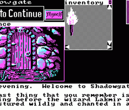 image-https://media.senscritique.com/media/000023439915/0/shadowgate.png
