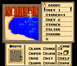 image-https://media.senscritique.com/media/000023439916/0/shadowgate.png