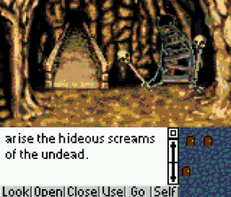 image-https://media.senscritique.com/media/000023439918/0/shadowgate.png