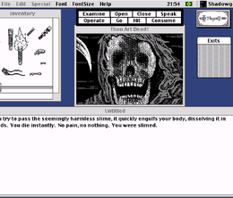 image-https://media.senscritique.com/media/000023439919/0/shadowgate.png