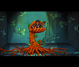 image-https://media.senscritique.com/media/000023440089/0/beyond_shadowgate.png
