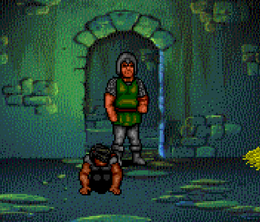 image-https://media.senscritique.com/media/000023440091/0/beyond_shadowgate.png