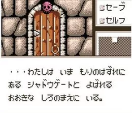 image-https://media.senscritique.com/media/000023440168/0/shadowgate_classic.webp