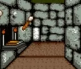 image-https://media.senscritique.com/media/000023440170/0/shadowgate_classic.webp
