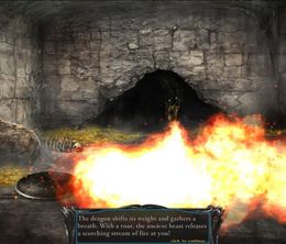 image-https://media.senscritique.com/media/000023440189/0/shadowgate.jpg
