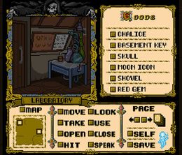 image-https://media.senscritique.com/media/000023440326/0/beyond_shadowgate.jpg
