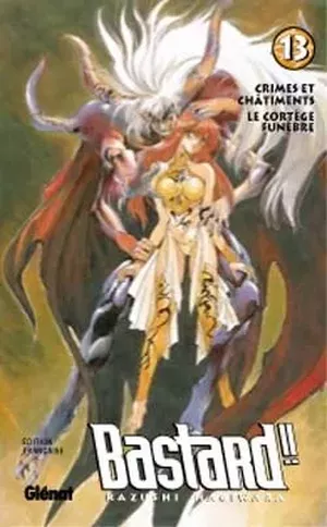 Bastard !!, tome 13