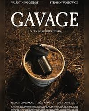 Gavage