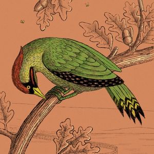 The Cold Collar (Single)