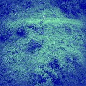 Animal Poem B-Sides (EP)