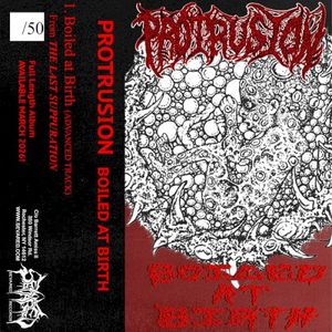Boiled at Birth (Single)