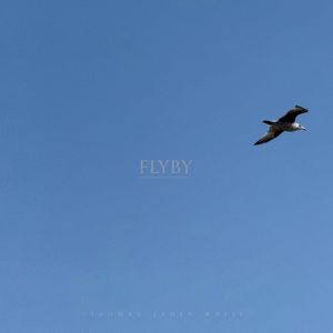 Flyby (Single)