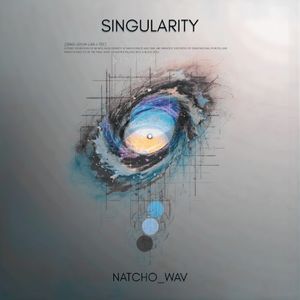 Singularity (Single)