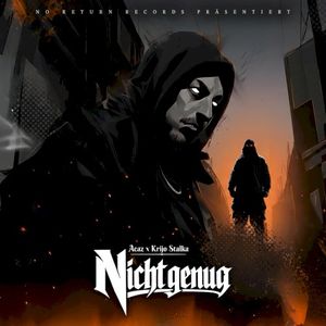 Nicht genug (Single)