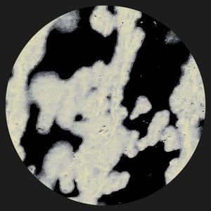 SKUDGE 015 (EP)