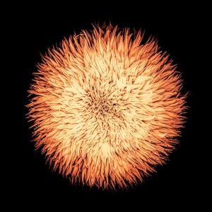 Cosmogonia